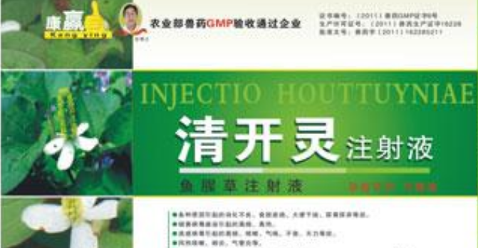 清开灵可以加糖吗 清开灵可以加糖吗