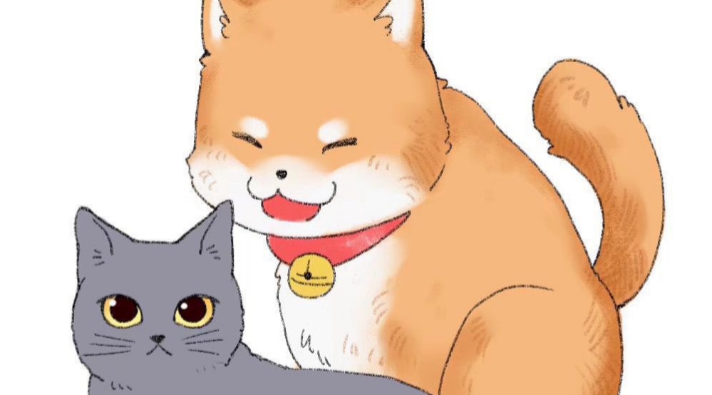 财猫双犬,教你科学养宠 财猫双犬,教你科学养宠