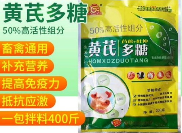 黄芪多糖功效