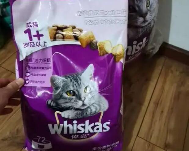 伟嘉幼猫粮配方真那么不好吗