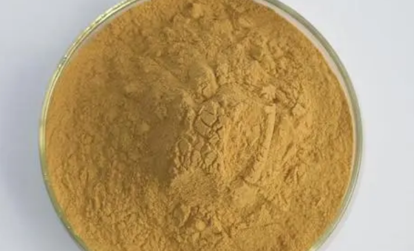 黄芪多糖的用处
