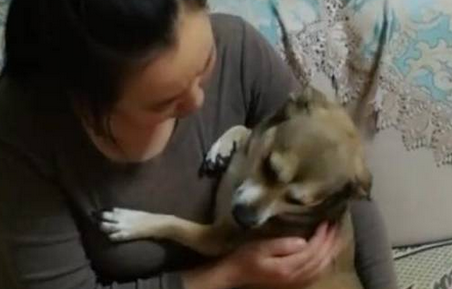 狗狗调皮被男主人暴打，完了直接钻进女主人怀里