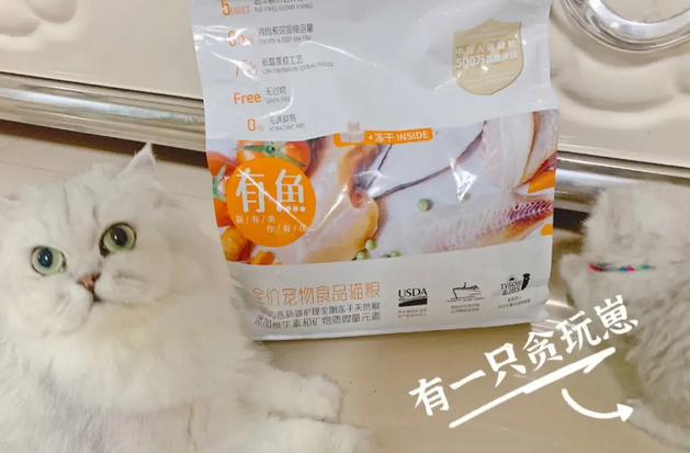 有鱼猫粮容易保存吗-宠物网
