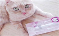 日本colimida猫咪电动牙刷