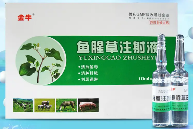 鱼腥草注射注液兽用价格 鱼腥草注射注液兽用价格