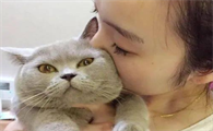 猫咪为什么会亲密接触呢