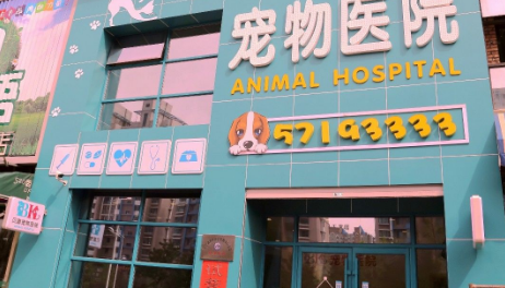 宠物医院有哪些 宠物医院有哪些
