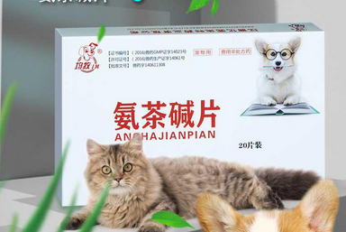 支气管 能用氨茶碱吗 支气管 能用氨茶碱吗