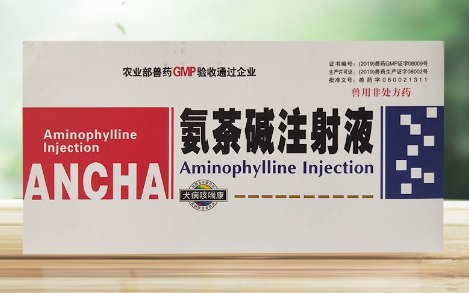 氨茶碱的目的
