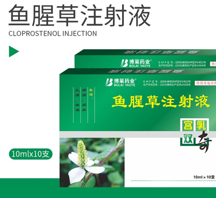 鱼腥草注射液作用