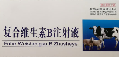 维生素b注射剂的作用及功能 维生素b注射剂的作用及功能