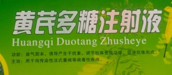 兽用黄芪多糖说明书 兽用黄芪多糖说明书