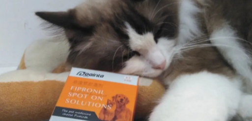 猫利尿通哪个牌子好