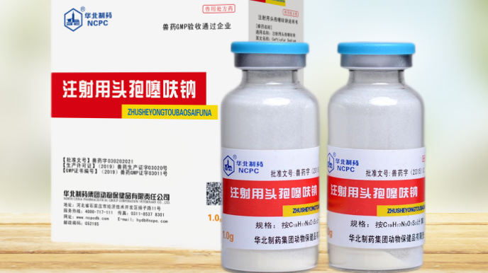 4g头孢噻呋钠可打多重的猪