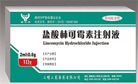 盐酸林可霉素胶囊说明书