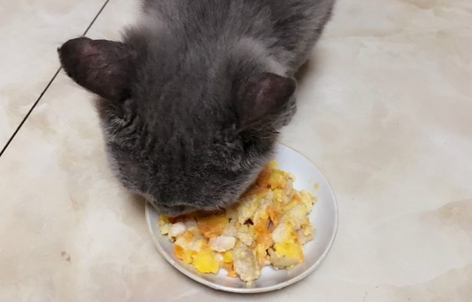 猫咪为什么会吃马铃薯呢 猫咪为什么会吃马铃薯呢