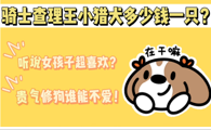 女生很喜欢的骑士查理王小猎犬多少钱一只?