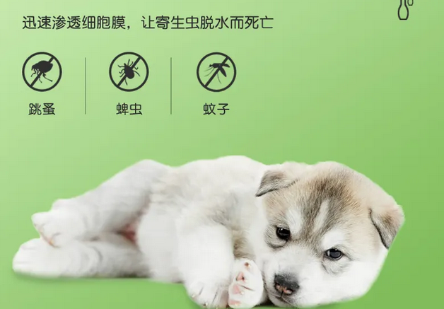 达士威体外驱虫成分好不好