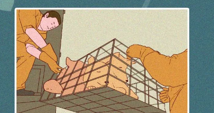 中国人,你凭什么看不起中国土狗? 中国人,你凭什么看不起中国土狗?