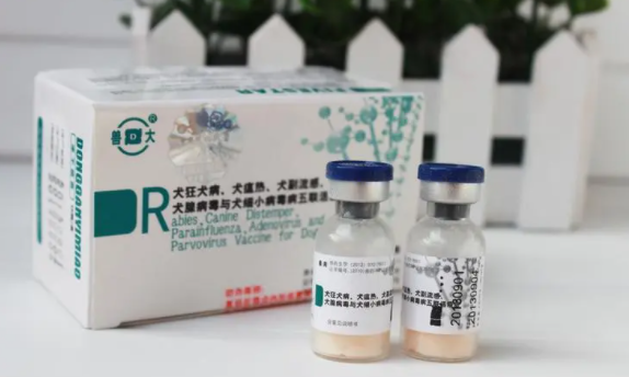 天犬五联苗的注射方法