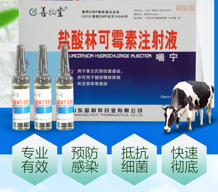 兽用盐酸林可霉素一天可打三次吗