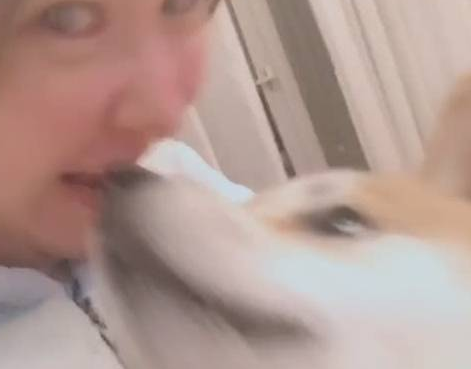 美女突然对着狗狗耳朵咬了下去,狗狗:你可能不信,我被人咬了! 美女突然对着狗狗耳朵咬了下去,狗狗:你可能不信,我被人咬了!