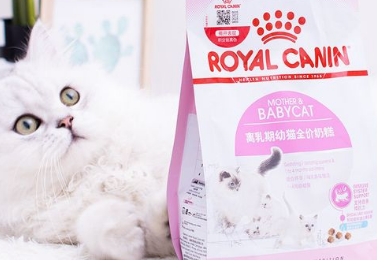 皇家猫粮好不好