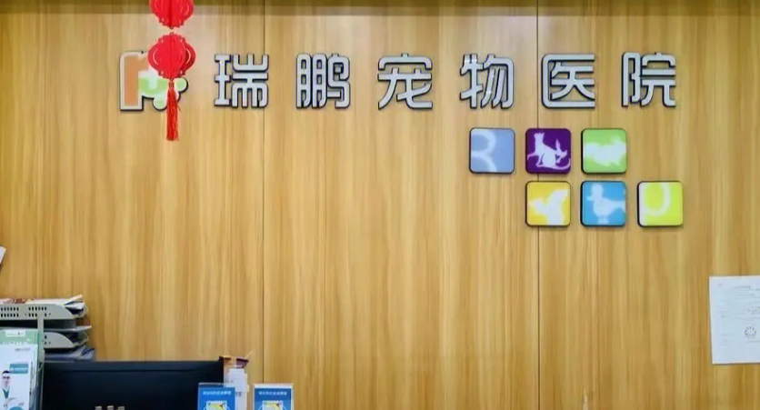 宠物医院哪家强