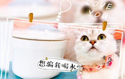 猫咪不爱喝水怎么办？思诺饮水机安排