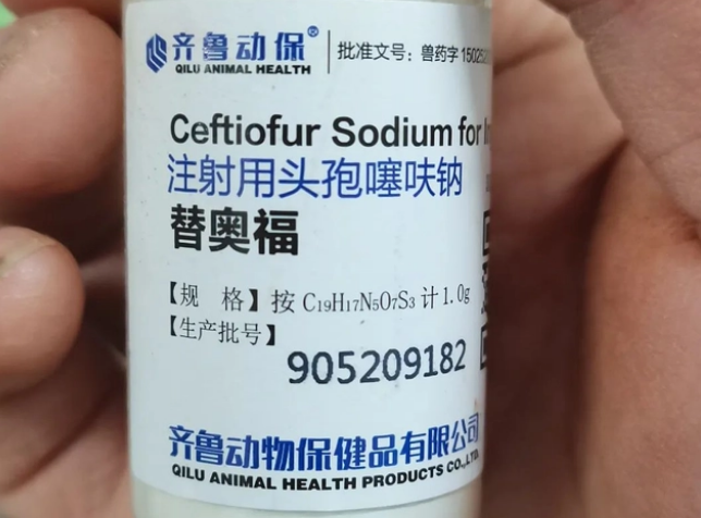 头孢噻呋钠100斤猪用多少