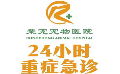 荣宠宠物医院