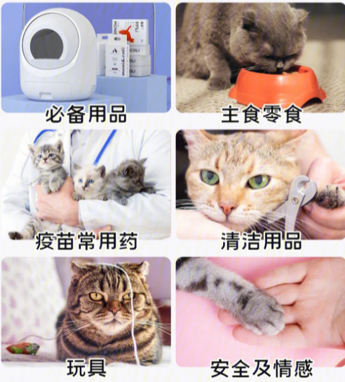 养猫的必需品