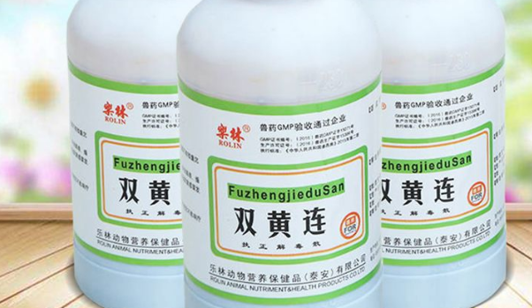 双黄连口服液和黄连上清片能一起吃吗