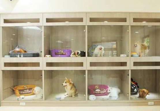 狗狗寄养多少钱一月
