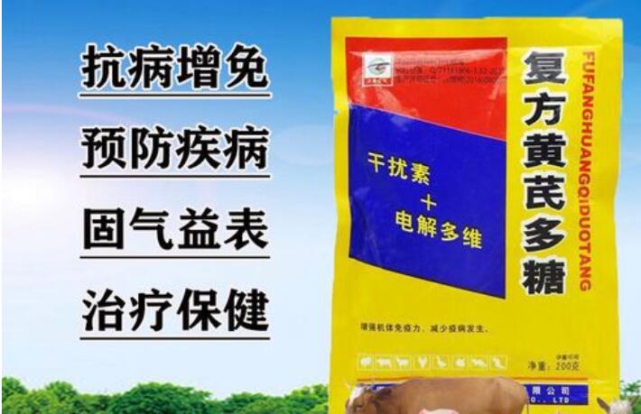 黄芪多糖的作用与功效 黄芪多糖的作用与功效