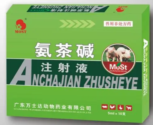 长期服用氨茶碱危害 长期服用氨茶碱危害