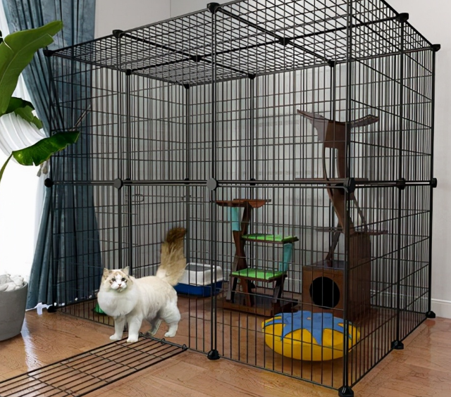 猫咪为什么要用笼子养呀