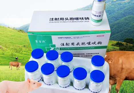 头孢噻呋钠牛用多大量