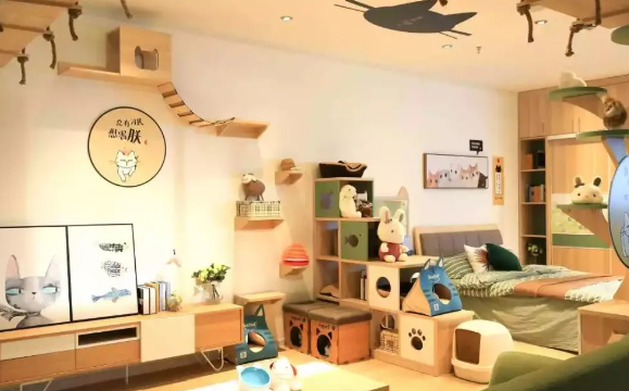 为什么楼房不能养猫