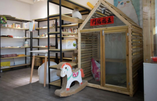 哈尔滨猫舍排名