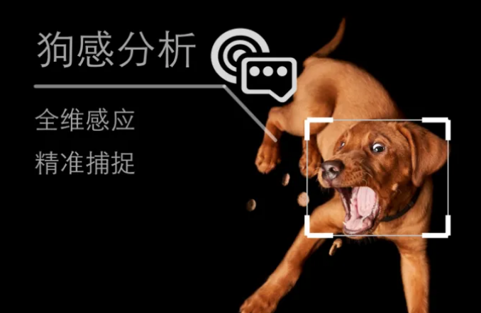 涂鸦智能联合智能宠物品牌湃妮，将全球首发「智能人汪情感翻译器」