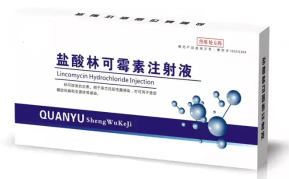 盐酸林可霉素与卡那霉素合用