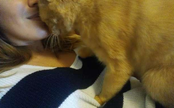 猫咪为什么喜欢踩奴才呢 猫咪为什么喜欢踩奴才呢