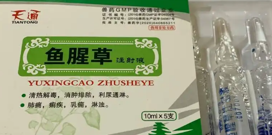 鱼腥草针剂的功效与作用