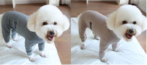 安班宠物衣服好吗 安班宠物衣服好吗