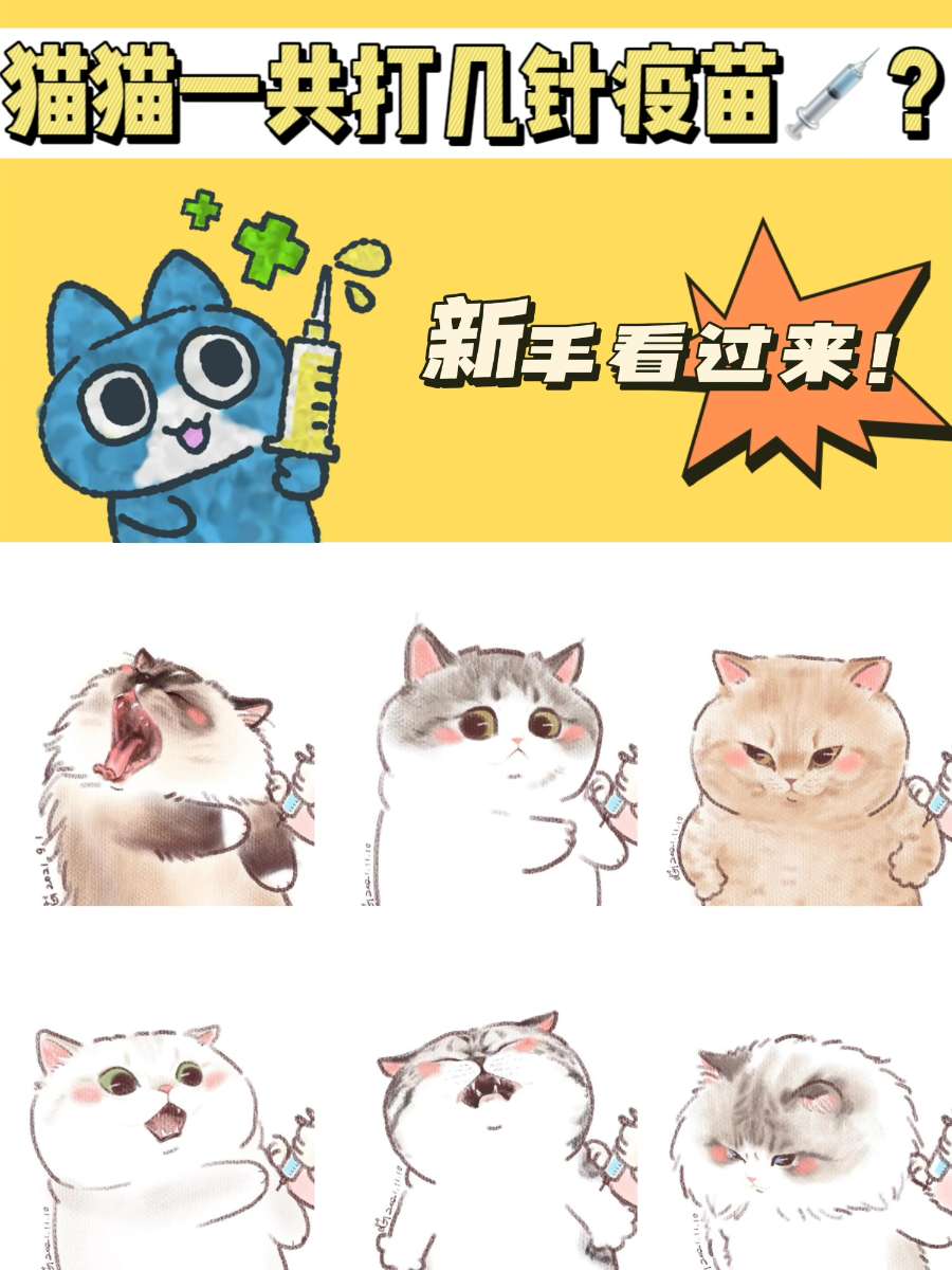 猫猫一共打几针疫苗？不懂的铲屎官看过来！