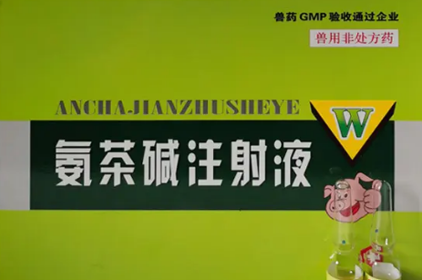氨茶碱功效作用