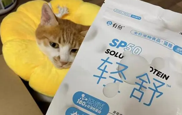 有鱼猫粮营养均衡吗