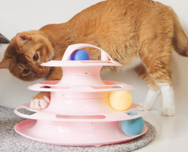 猫咪用品排行榜前十名