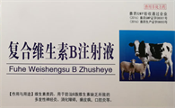 复合维生素b注射注液作用